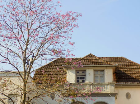 beige house with brown roof