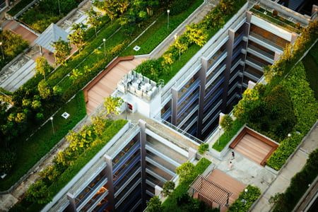 ariel view of green roof