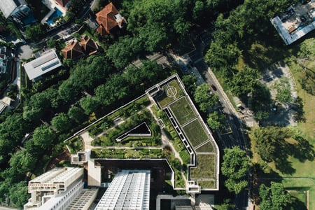 green roof on commercial building