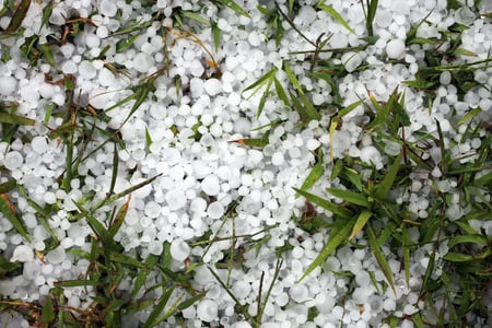 hail in grass