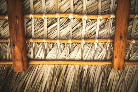 indoor view of thatched roof