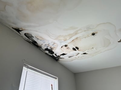 serious mold damage from a roof leak